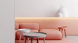 Minimalizm w kolorze pink! Projekt koncepcyjny mieszkania na Saskiej Kępie
